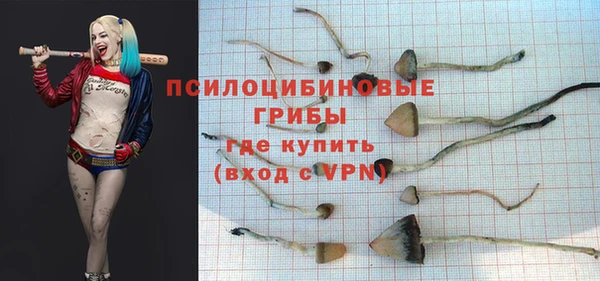 ГАЛЛЮЦИНОГЕННЫЕ ГРИБЫ Богородск