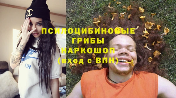 spice Бородино